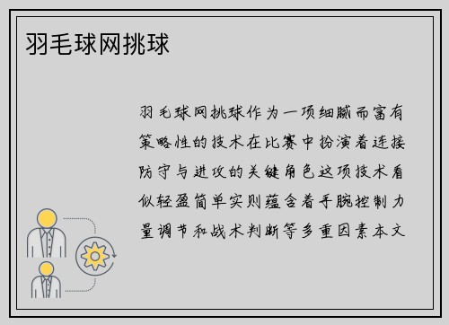 羽毛球网挑球
